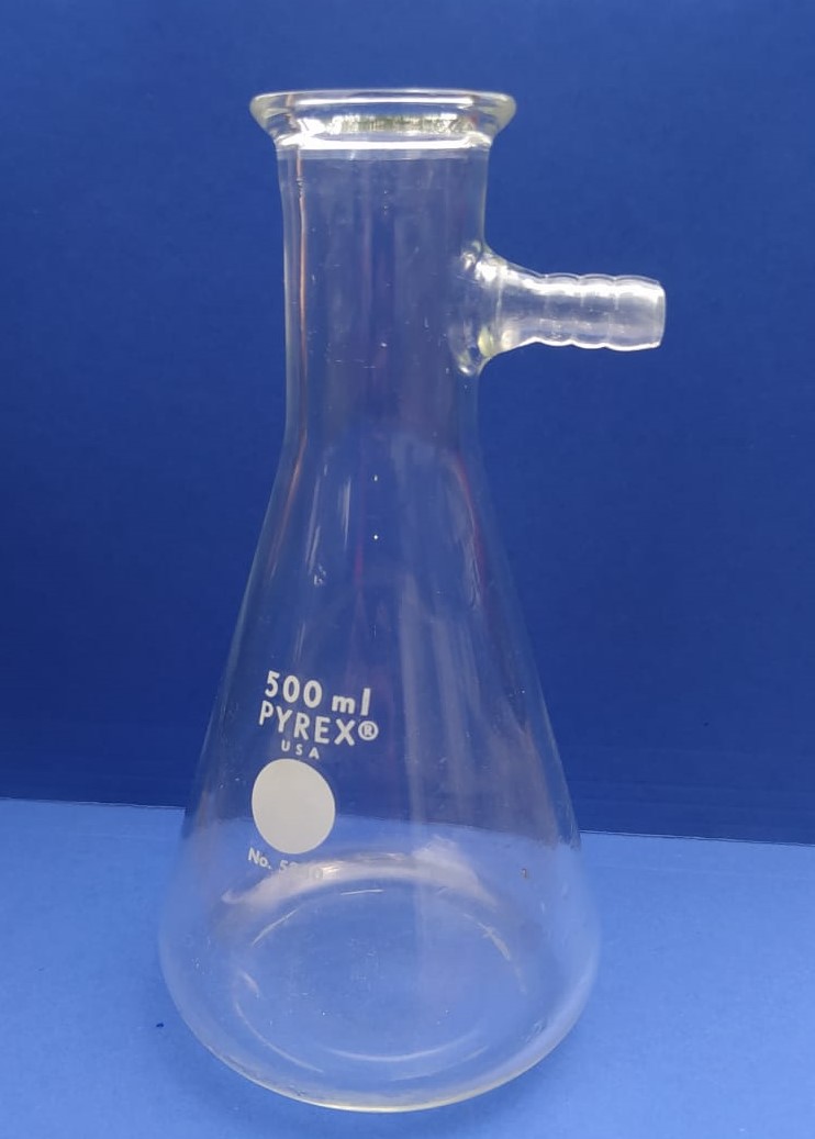 Kitasato: El legado del pionero japonés en la microbiología moderna